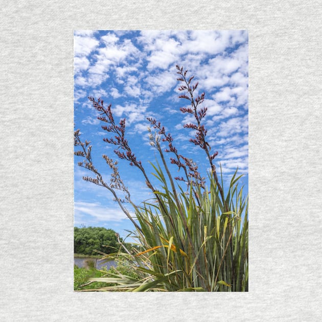 NZ flax bush. by sma1050